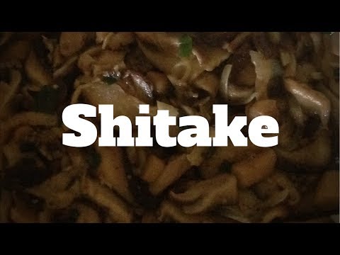 Vídeo: Como Cozinhar Shiitake