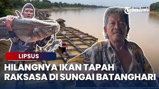 Hilangnya Ikan Tapah Raksasa di Sungai Batanghari Jambi, Perubahan 1995 dan Sampah