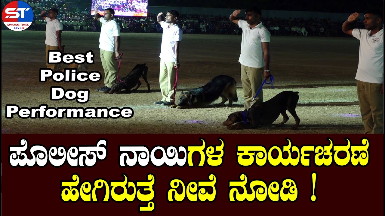 Best Police Dog Training 2023 Training your best friend Top Police