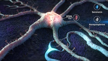 Medical Animation Reel 2023