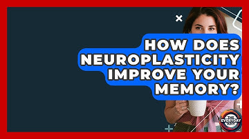 How Does Neuroplasticity Improve Your Memory? - The Everyday Why