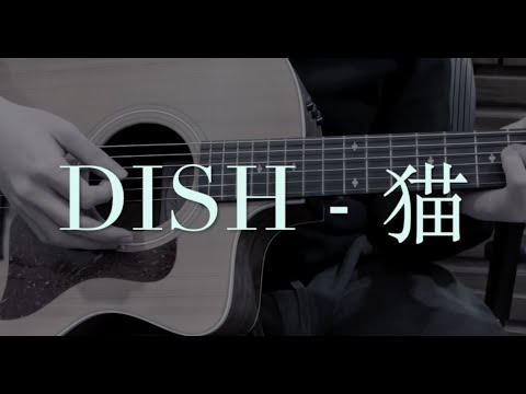 DISH - 猫 Covered by ahola Guitar