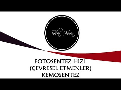 [ARŞİV] 9) Fotosentez Hızı (Çevresel Etmenler) - Kemosentez - 12. Sınıf Biyoloji (AYT #32)