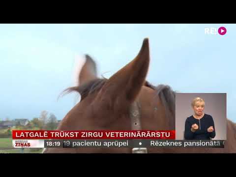 Latgalē trūkst zirgu veterinārārstu