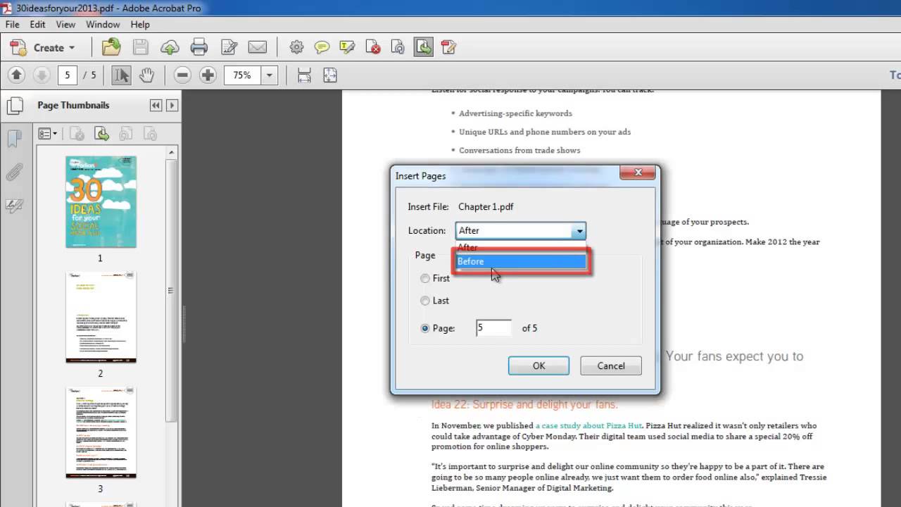 What Is Adobe Acrobat Assistant 8.0