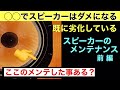 59【劣化する】エッジがダメに!スピーカーのメンテナンス方法 Grace Mahyaさん紹介 オーディオ入門38 音質改善マル秘大作戦59 yummy audio