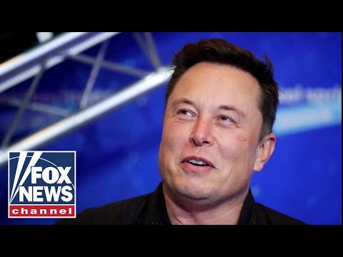 Left loses it over Elon Musk's Twitter takeover