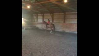 Bareback3