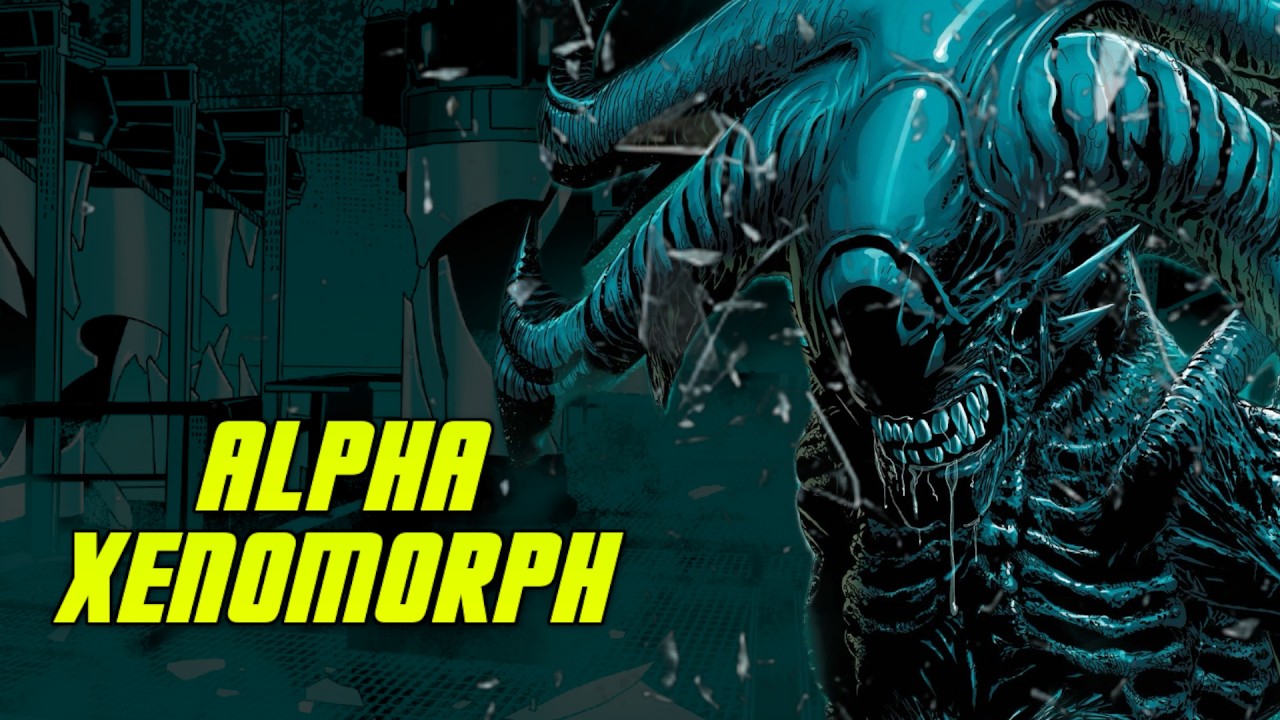 The Alpha Xenomorph - Explained - YouTube