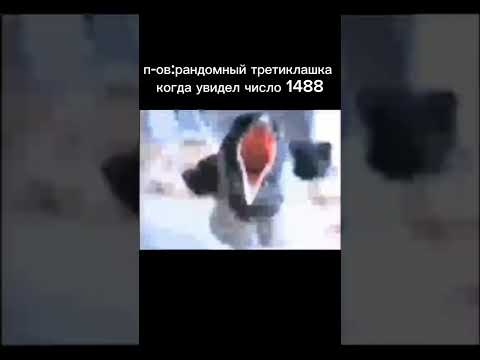 1488 1488