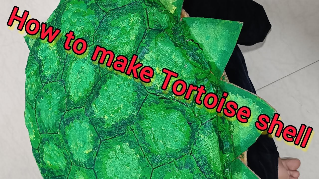 How to make Tortoise 🐢 shell - YouTube