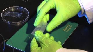 Celebrity NIST Chip-Scale Assay: A Simple Way to Study Cells Net Worth