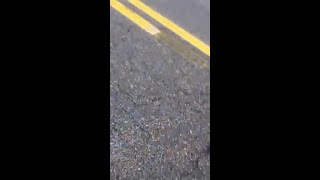 CBS 42 obtained this video of the apparent tornado in Pickens County