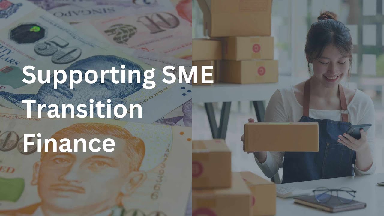 Green Public Procurement (IMF-YFP 2023 Video Submission)