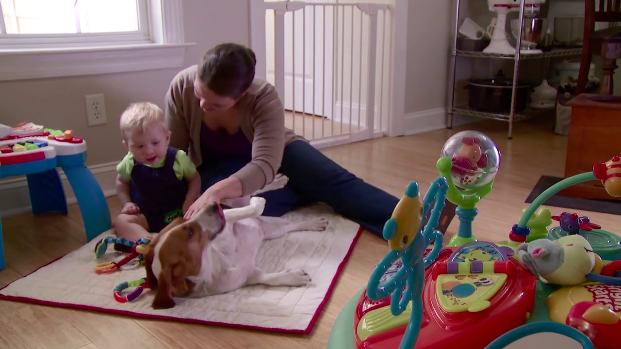 Managing A Dog Around A Baby Dog/Baby Training Video 4 Baby Gates