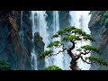 سورة القصص بث تجريبي سورة القصص بث تجريبي
