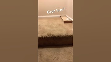 Is this a good loop? #loop #looping #loops