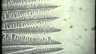 Dendritic Solidification
