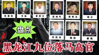 黑龙江九位落马高官、大搞权色交易、贪腐数百亿#案件調查