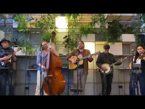 Sebo & The Rollin´ Tides - Dalia Mendel on the fiddle (Cherokee Shuffle)