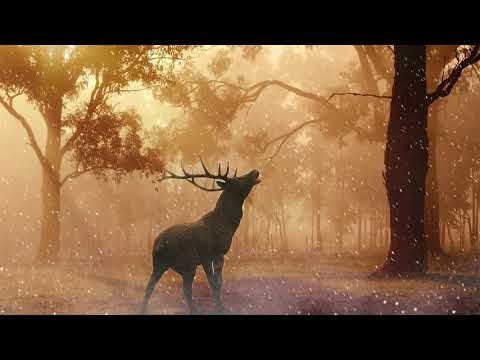 2h Relaxing Sleep Music, Stress Relief Music, Relaxing Yoga Music, Meditation Music -#13