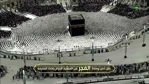 صلاة الفجر رحاب المسجد الحرام الشيخ الوليد خالد الشمسان ماتيسر من سورة آل عمران📆٢٣جمادى الأولى١٤٤٧