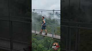 ULU TEMBURONG NATIONAL PARK 🇧🇳 | Canopy Tower & Bridge Adventure! 🌿🌄