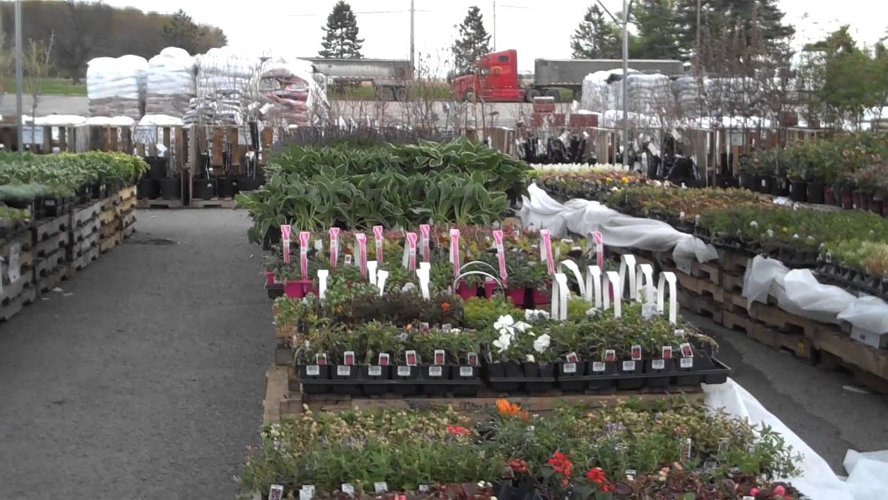 Rural King Flower Garden Center YouTube