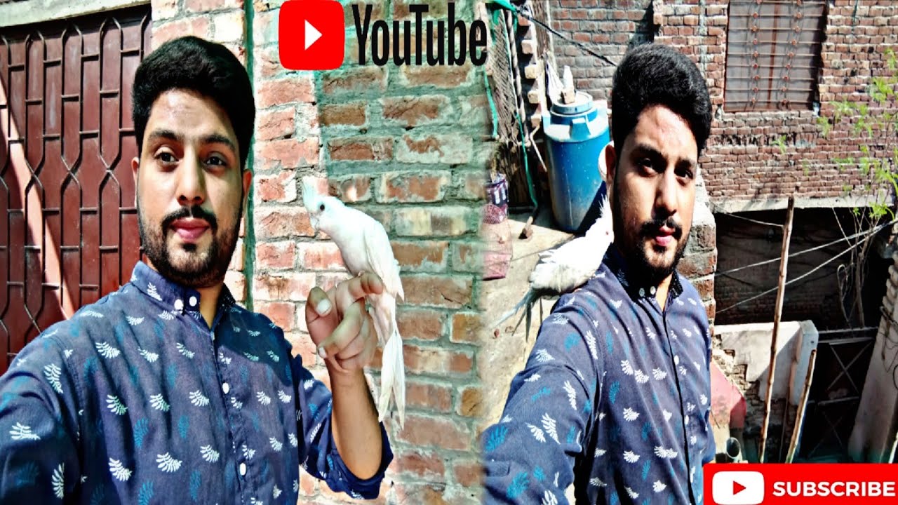 Humara White Bhi New sirhi Saha Dhup Lene a Gaya