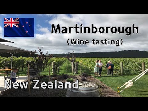 마틴버러 와인 시음 | 뉴질랜드 여행 (Wine tasting in Martinborough | New Zealand trip)