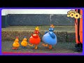 Twirlywoos - Where Are They Hiding? | Shows for Kids | WildBrain Play House