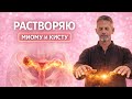 ВОССТАНОВЛЕНИЕ ЖЕНСКОЙ СИСТЕМЫ | СИЛЬНЫЙ ЭНЕРГЕТИЧЕСКИЙ СЕАНС ДЛЯ МАТКИ И ЯИЧНИКОВ