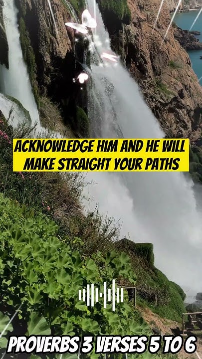 proverbs-3-verses-5-to-6-youtube