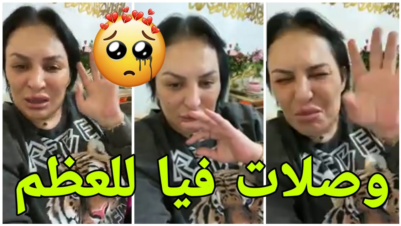 ⛔Я купила кота, чтобы он составил мне компанию, и теперь он меня кусает 😥 Я так устала от этого 😭...