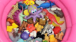 Fun Sea animal toys for kids| Sea Creatures names & facts| Animal toye