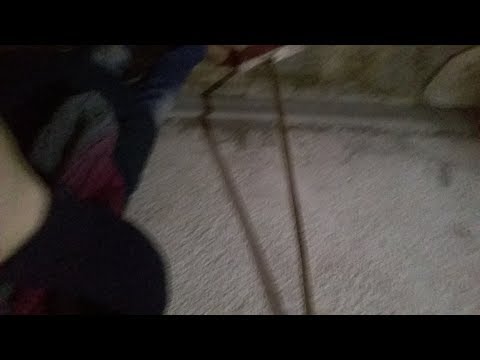 بسبب الحمام القطط علي السلم قررت انظف السلم وامسحة