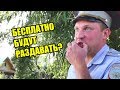 #4 | ГАИШНИК УДИВИЛСЯ И ОБРАДОВАЛСЯ ХАЛЯВНЫМ ХЛЕБАМ | КРАСИВО ПОСЛАЛИ