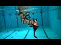 Lionfish Mermaid Teaser