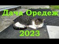 Дача Оредеж 2023