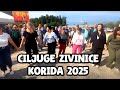 KORIDA CILUJGE ZIVINICE 2025 DIO 2