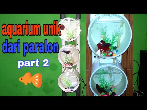  aquarium  unik dari  paralon  part 2 YouTube
