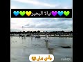 يا سلام على روعة المشهد جنوب دارفور نيالا البحير تحديدا وأدي برلي