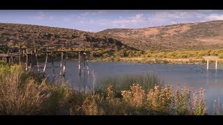 Full Postage Stamp Allotment - Ranching And Grazing Problems | Documentary Clip Guide
