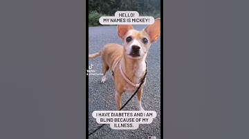 Mickey has diabetes, she needs your support.