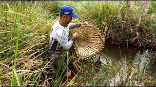 É assim que o pescador pega peixe quando falta material de pesca