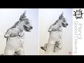 Рисунок Собаки карандашом / How to Draw a Dog