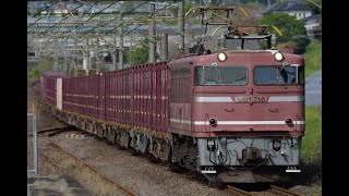 JR貨物 4093レ EF81-716