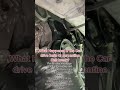 DRIVEBELTS AND SERPENTINE BELT #mechanic #auto  #automotive #drivebelts #serpentinebelt  #reels
