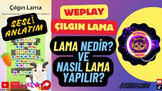 Sesli̇ Anlatim Lama Nedi̇r? Nasil Lama Yapilir? Weplay Çilgin Lama