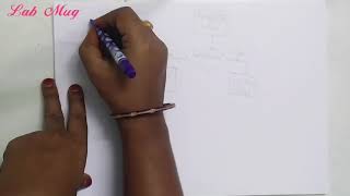 Calling statements in functions|| call by value|| call by reference || C++programming in telugu